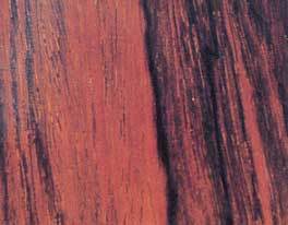 コーラル・ローズウッド（CORAL ROSEWOOD）